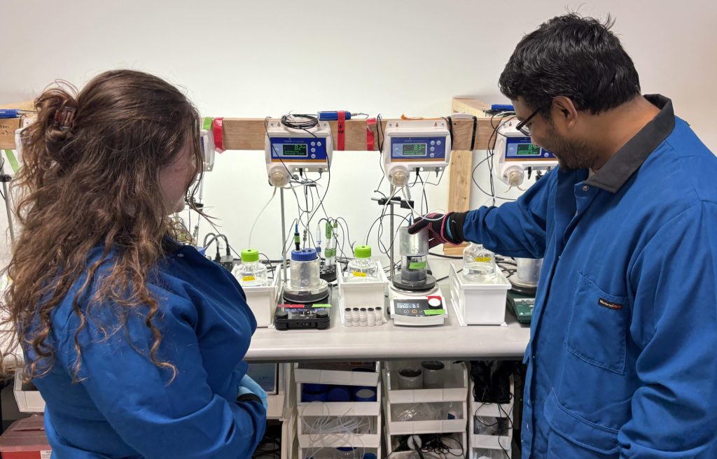 carpet recycling research team at work in lab at Birch Biosciences